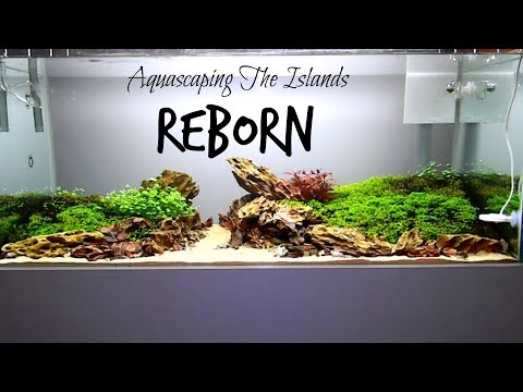 Aquascaping - THE ISLANDS - Reborn