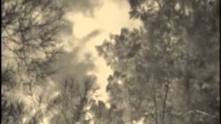 Molly Drake - How Wild The Wind Blows