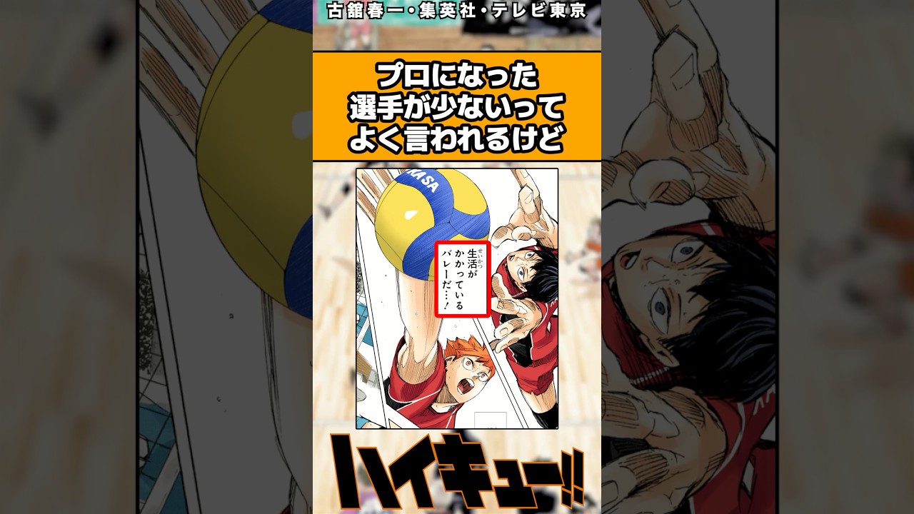 プロになった選手が少ないってよく言われるけど#ハイキュー #ハイキュー反応集 #shorts