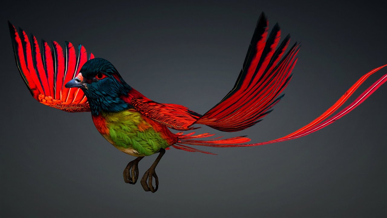 PheasantBirdB6 3D Model