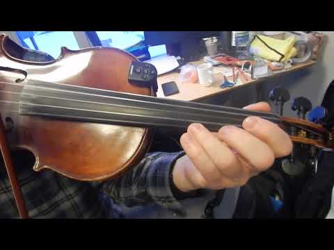 DSCN2772 FIOLIN Canon