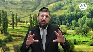 כבוד מלכים |  ביאור מגילת אסתר | פרק ה | הרב אליהו עמר (הרב אליהו עמר) - התמונה מוצגת ישירות מתוך אתר האינטרנט יוטיוב. זכויות היוצרים בתמונה שייכות ליוצרה. קישור קרדיט למקור התוכן נמצא בתוך דף הסרטון