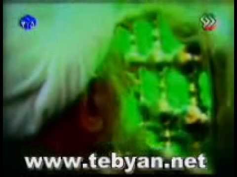 Tribute to Ayatollah Taqi Bahjat - تکریم به حضرت آیت اللہ تقی بہجت