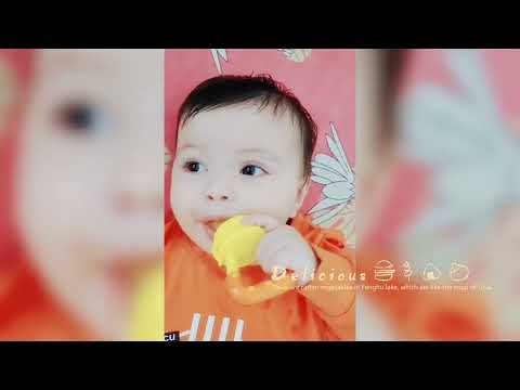 Shanaya khan launch your food blog