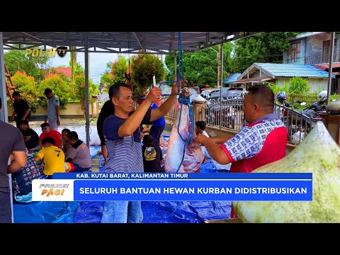 POLRES KUTAI BARAT BAGIKAN 679 PAKET DAGING KURBAN BAGI WARGA MEMBUTUHKKAN