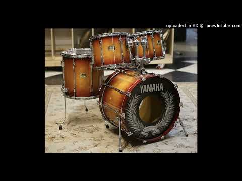 Yamaha 20th Anniversary Recording Custom Drum Set - 12/13/16/22/6.5x14 w/cases image 26