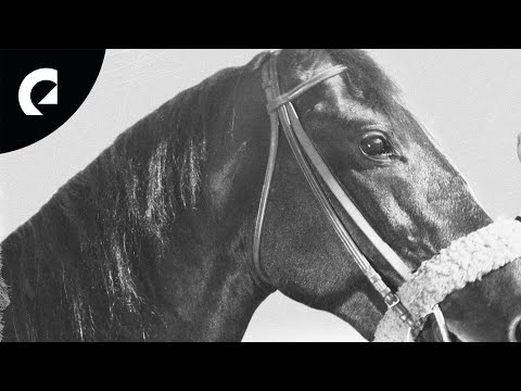 Coma Svensson - Didn't Wake Up (Royalty Free Music)