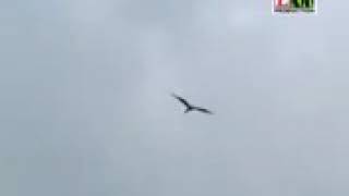 Download lagu Cilokaq sasak semamen dengan mp3