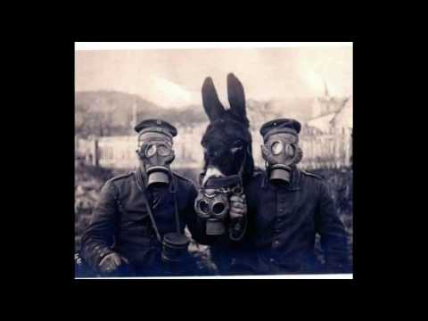 Drvoje PIMP - Lektira feat. Stipe Travarica