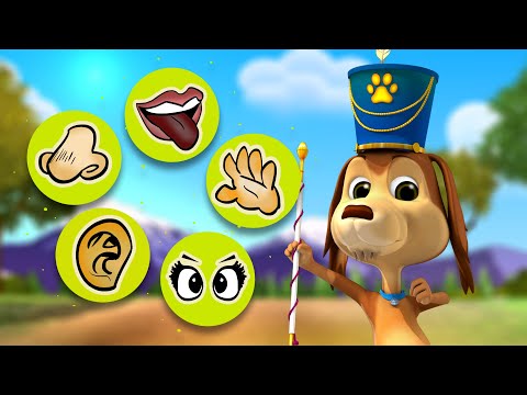 5 SENTIDOS - PERRO CHOCOLO - CANCIONES INFANTILES - MÚSICA PARA JUGAR