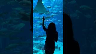 She didn't wait for a seat at the table; she built her own, and it was a masterpiece.#youtubeshorts