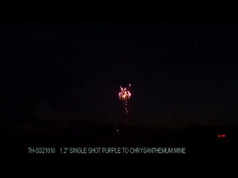 1.2" Single Shot Purple to Chrysanthemum Mine