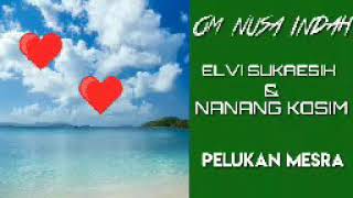 Download lagu ELVI SUKAESIH & NANANG KOSIM  -  pelukan mesra mp3