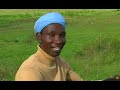 MUTURIRE WA MAITHORI BY HARUN MUGO WANYAHU
