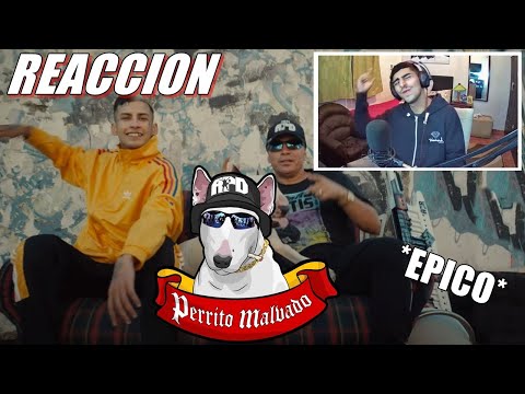 (REACCION) L-GANTE x DAMAS GRATIS - PERRITO MALVADO 💣🔥