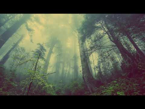 Moya Brennan - Tell Me Now (What You See) (Film version, King Arthur, 2004)