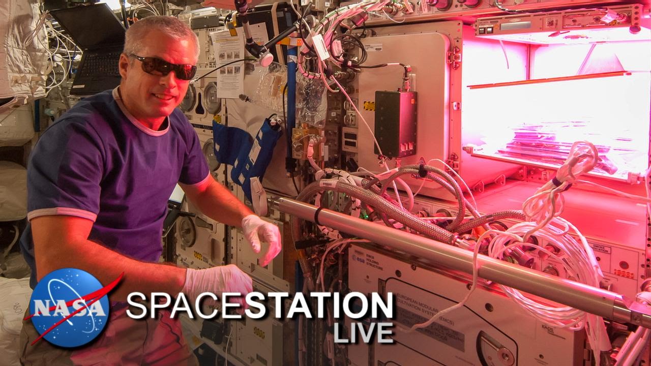 Space Station Live: Lettuce Look at Veggie - YouTube