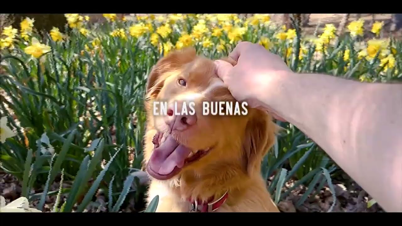  - Trailer