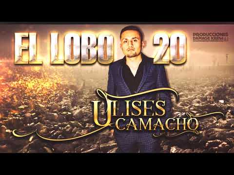 Ulises Camacho - El Lobo 20 (en vivo) 2017