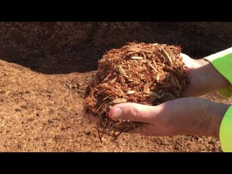 Cypressmulch