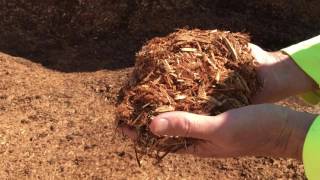 Cypress Mulch