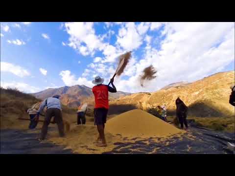 KARISMA TV EN VIVO DESDE SAN PABLO CAJAMARCA