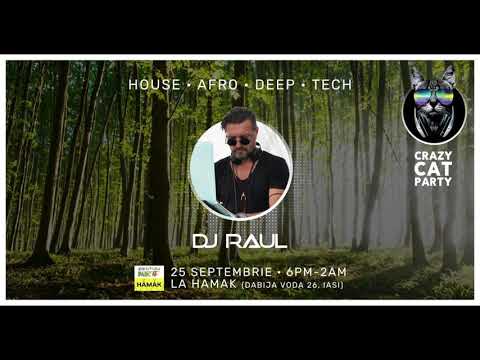 DJ RAUL
