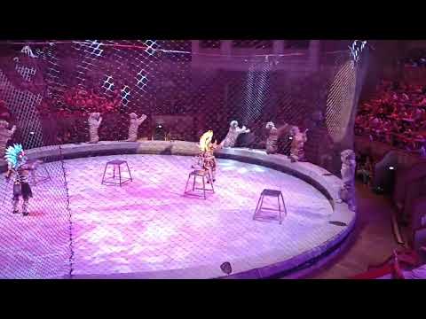 Tigers of Zapashny brothers/ Moscow Circus "Horrible Power/Братья Западные "Страшная Сила 2023(5)