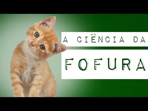 A CIÊNCIA DA FOFURA