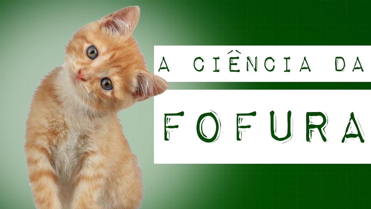 A CIÊNCIA DA FOFURA