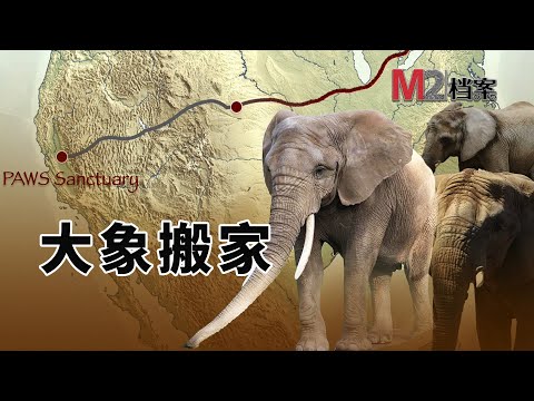 大象頭