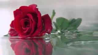 ZZ HILL     THE CHOKIN'KIND