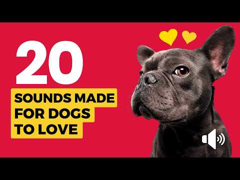 20 Sounds Made for Dogs to LOVE 🐶❤️