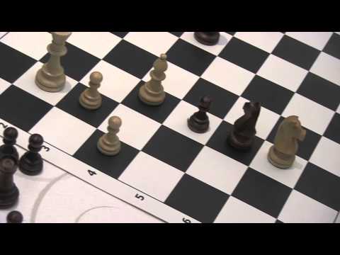 2014-01-21 Esipenko - Rozhko Dvorkovich mem