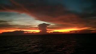 Download lagu Video Short Untuk Status Whatsapp Terbaru |Sonia - Benci Kusangka Sayang mp3