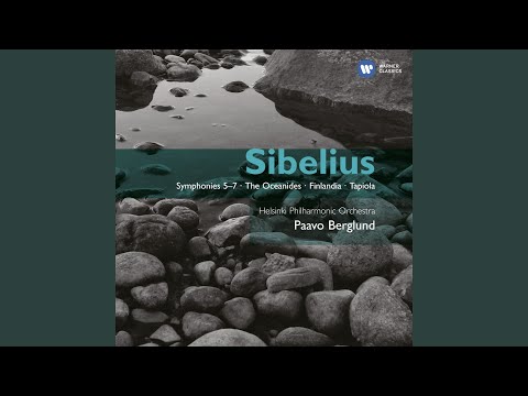 Symphony No. 5 in E-Flat Major, Op. 82: III. Allegro molto