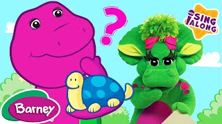 Why Song | Barney Nursery Rhymes and Kids Songs