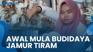 Pernah Gagal dan Terus Mencoba Jadi Awal Keberhasilan Budidaya Jamur, Kini Beromzet Jutaan Rupiah