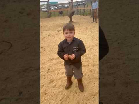 🍀Na Serra Gaúcha, André da Rocha preserva o tempo e a tradição.📍Na propriedade do Betinho Jacques
