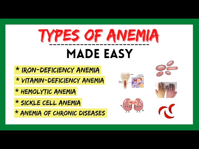 Understanding Anemia: Types, Symptoms, and Causes | Magica