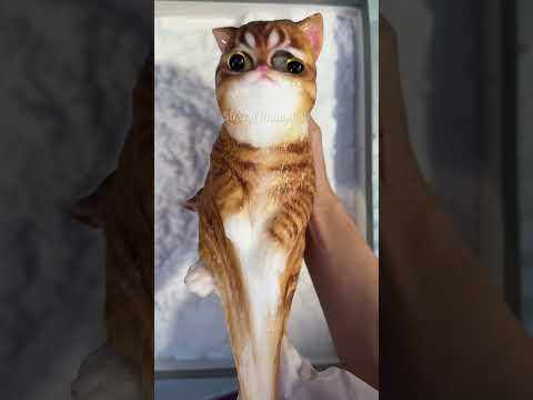 Đồ Chơi Cho Mèo Kỳ Lạ Nhất Trung Quốc?🐱