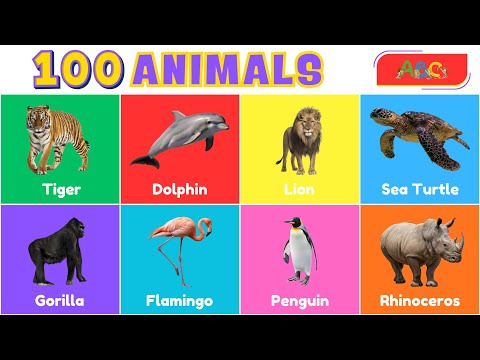 100 Animals for Kids | Learn Animal Names and Wild Animal Facts for Kids