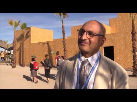 Interview with Sivan Kartha at COP 22 in Marrakech