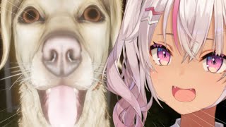 ┊犬と散歩┊犬となら夜道もこわくない!【魔使マオ/にじさんじ】