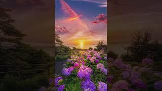 Download lagu Beautiful nature Sunrise good morning whatsapp status 1q#shorts #nature #4k  #flowers #sunrise mp3 Download lagu Beautiful nature Sunrise good morning whatsapp status 1q#shorts #nature #4k  #flowers #sunrise mp3