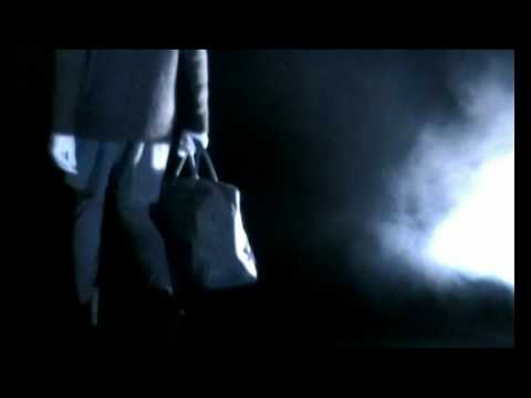 desfile DAVIDELFÍN O/I 2010/11