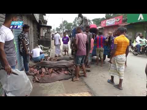 পশুর চামড়া কেনাবেচায় রংপুরে চলছে নৈরাজ্য