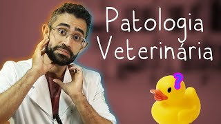 Patologia veterinária | Disciplinas da Vet #5