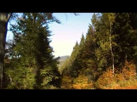 Stempelstelle 21 Helenenruh