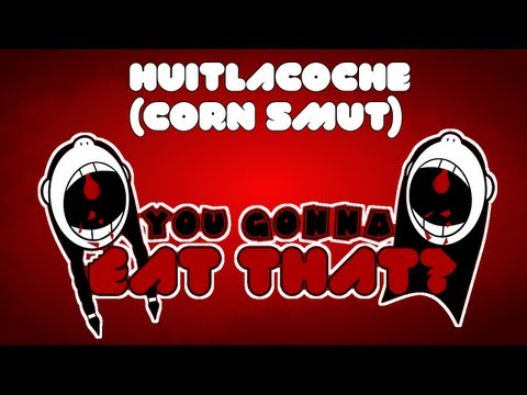 You're Gonna Eat That? Episode 04 - Huitlacoche and ovaries